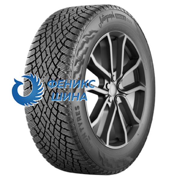 Шина (резина) Ikon (Nokian Tyres) R20 255/50 109R Ikon (Nokian Tyres) Autograph Snow 5 SUV