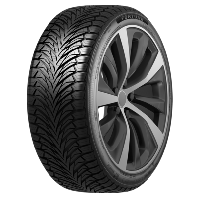 Шина (резина) Fortune 205/50R17 93W XL Fitclime FSR-401 TL