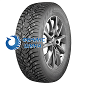 Шины Ikon Tyres Character ice 8